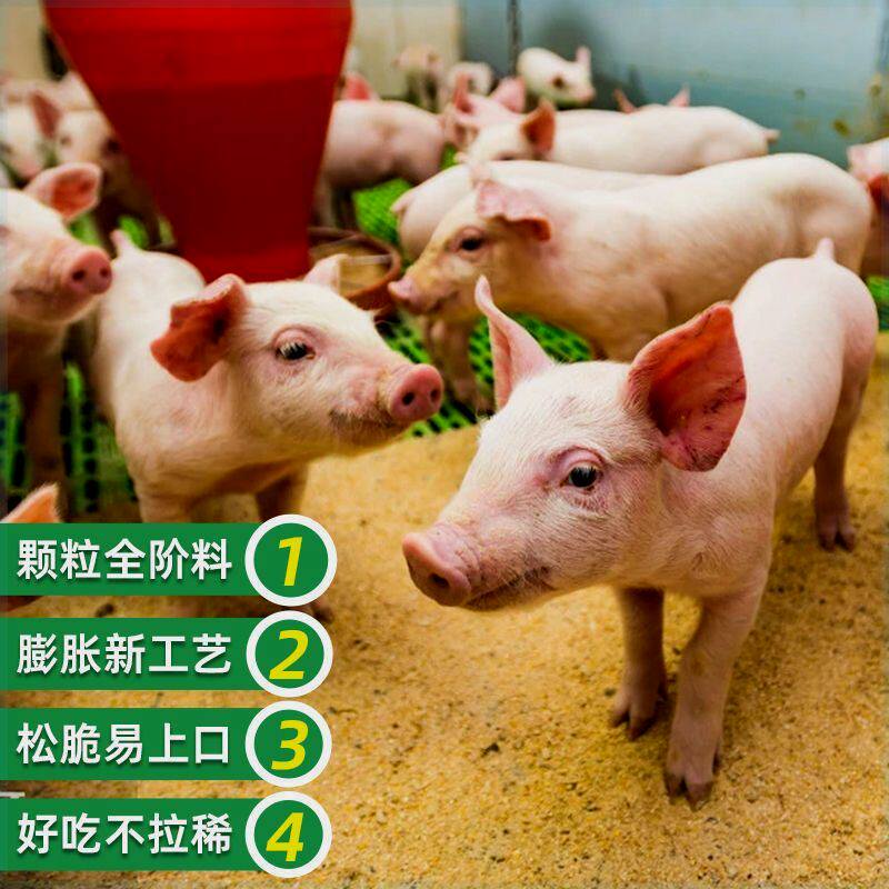 厂家直销80斤猪饲料喂猪小猪开口中大猪育肥颗粒打窝全价饲料