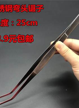 尖头聂子有齿镊不锈钢圆