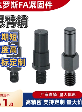 悬臂销非标定制 MDL01 MDL02 MDL06 MDL11 MDL12 MDL16