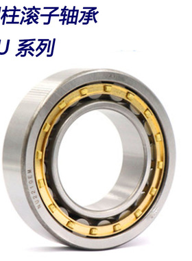 圆柱滚子轴承NU NJ NUP313 314 315 316 317 318 319 320 321 EM