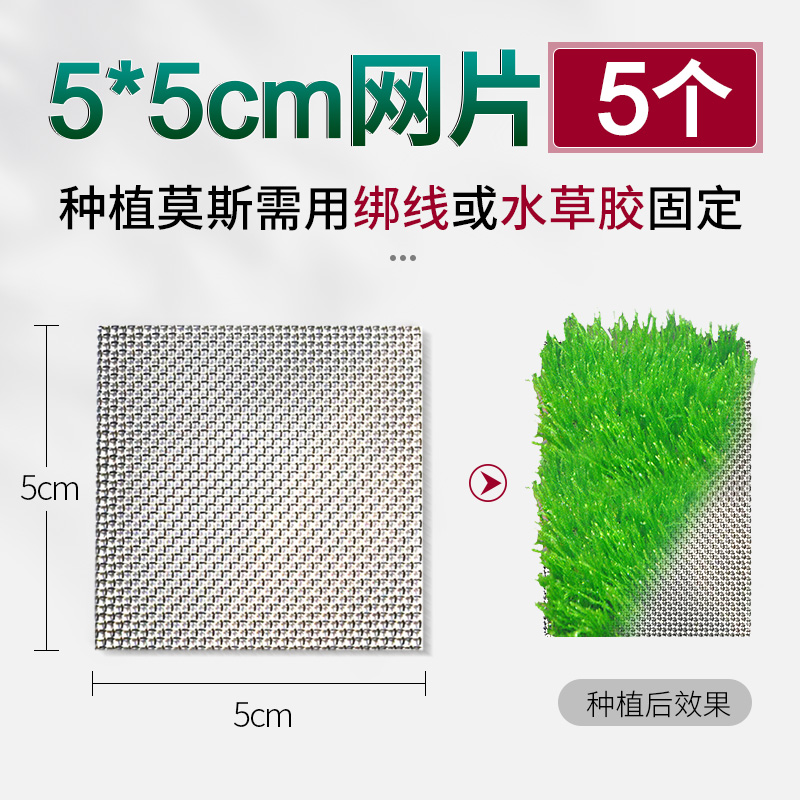 莫斯繁殖不锈钢网片水草