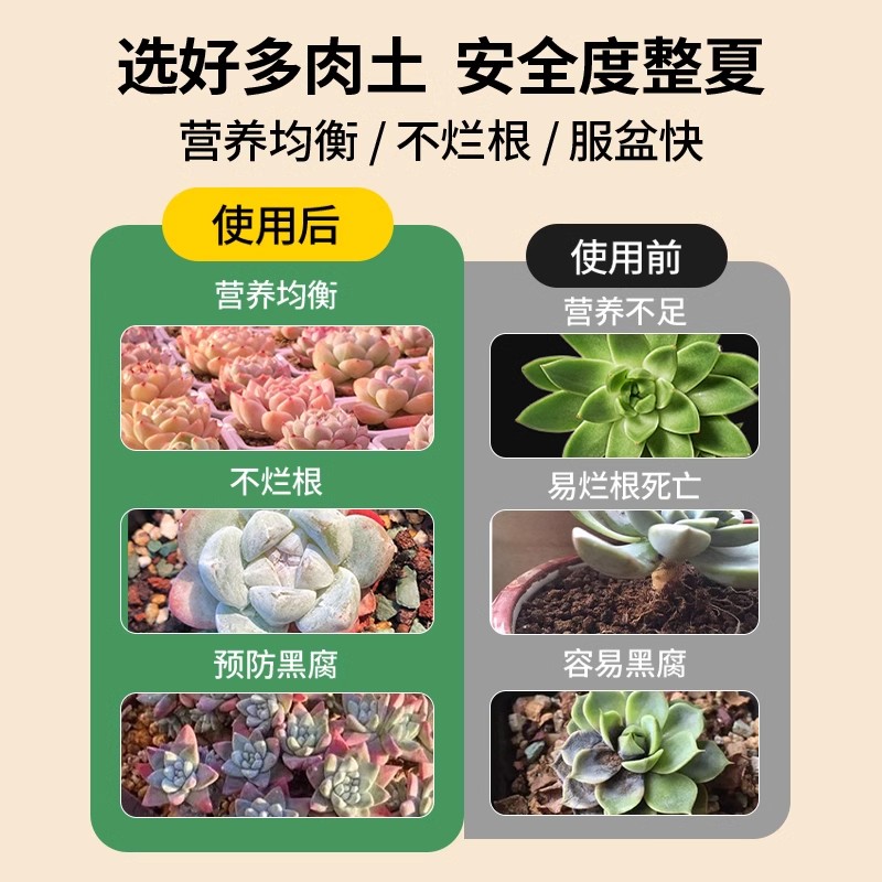 多肉专用颗粒土植物营养