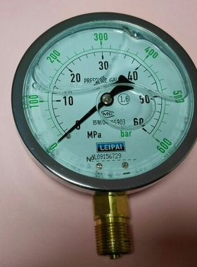 pressure gauge 压力 0～60mpa 0～600bar 直径100mm 耐震压力表