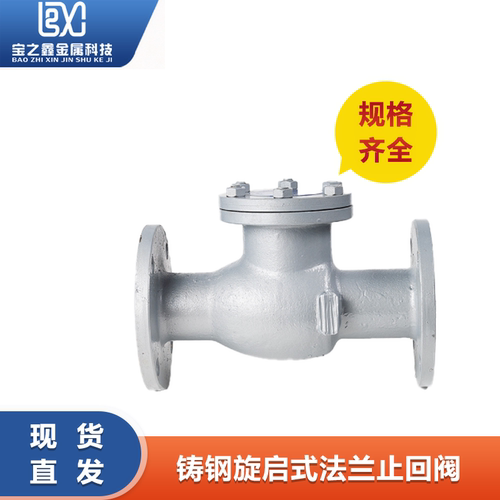 H44H-16C/25C铸钢法兰旋启式止回阀 DN50 65 80 100 125 150 200