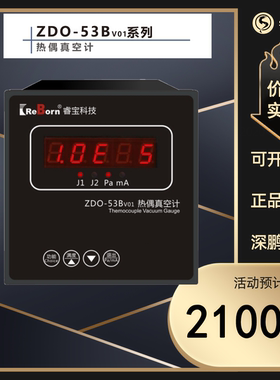 ZDO-53Bv01热偶真空计 睿宝科技 ReBorn 单热偶 ZJ-54D ZJ-53B