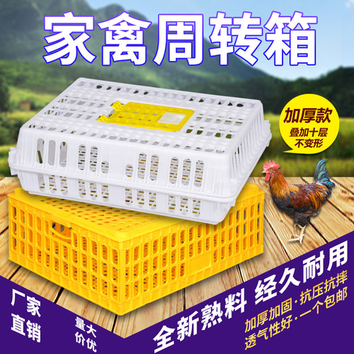 鸡笼周转箱成塑料运输笼家用大号加厚特大筐成鸡鸭鹅鸽子家禽兔笼