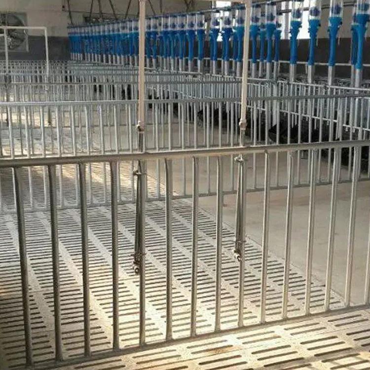 猪用育肥栏 自焊围栏 育肥限位栏 热镀锌钢管焊接