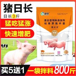 雄牧猪日长快速出栏猪用催肥增重育肥猪饲料添加剂猪猛长猪预混料