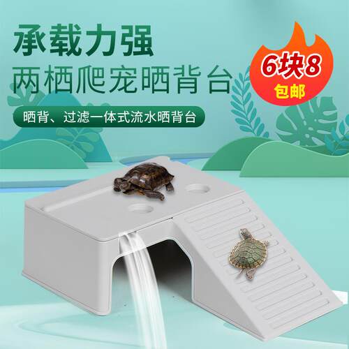 乌龟缸晒台爬养造景一体