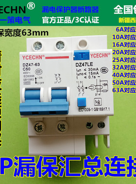 家用漏电保护器电闸总开2P50A空开带漏保C40双线空气开关DZ4763Le