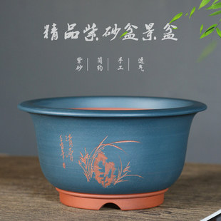 紫砂兰花盆盆景盆粉浆矮金钟兰花君子兰盆景内门竹杜鹃透气专用盆