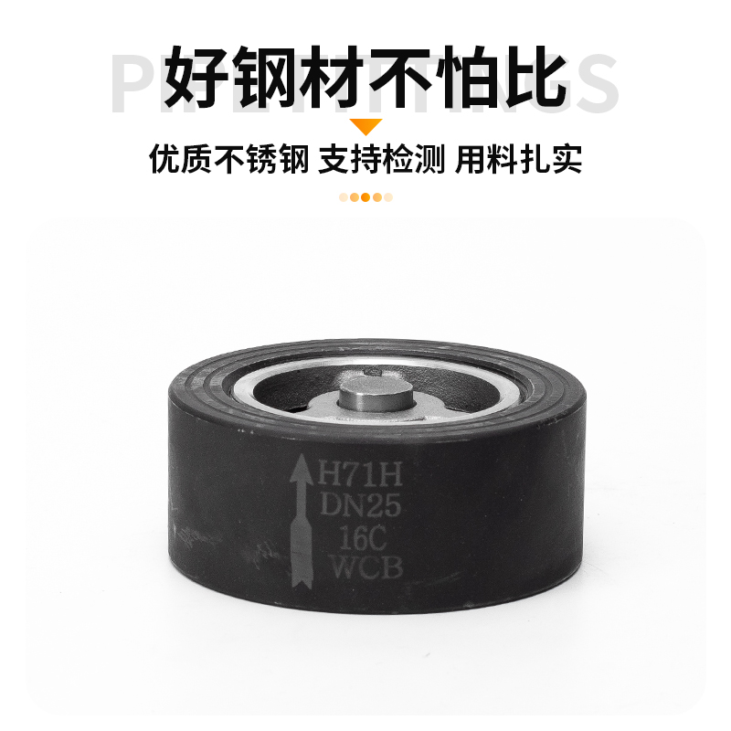 碳钢对夹式止回阀弹簧加