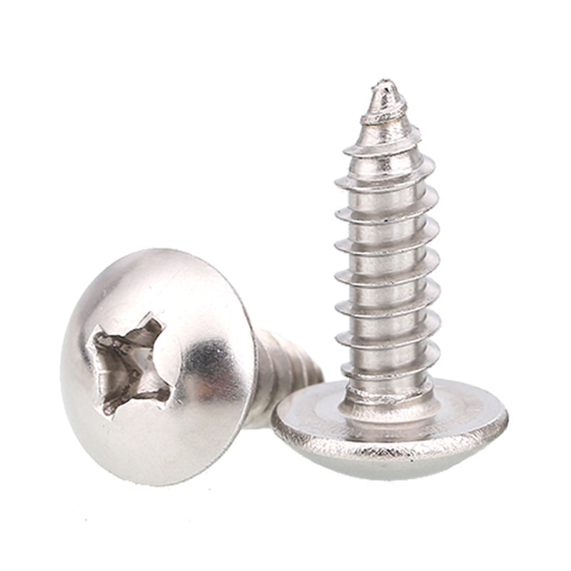 不锈钢大扁头自攻螺丝帽