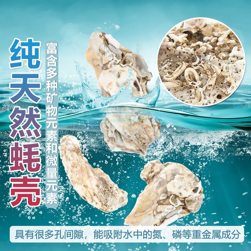 鱼池过滤天然蚝壳牡蛎壳锦鲤池生蚝壳过滤材料增加钙水稳定PH值,金属材料及制品,金属罐/桶/瓶,淘宝优惠券,粉丝福利购,淘宝优惠卷