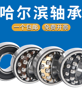 调心球轴承2200 2201 2202 2203 2204 2205 2206 2207K TV