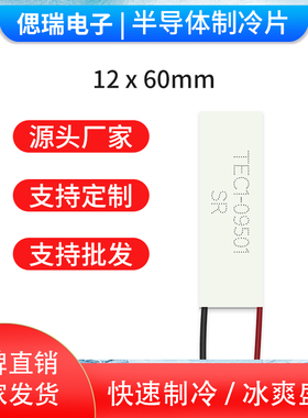 TEC1-09501/12*60mm耐高温半导体制冷片工业级帕尔帖致冷片长方形