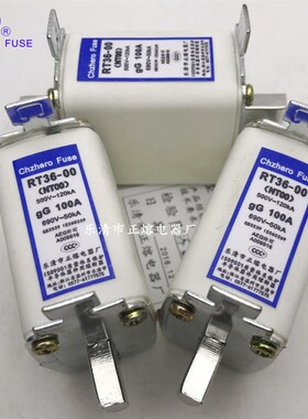 NT00/RT36-00 60A 63A 80A 100A 120A 125A 150A 160A熔断器正熔