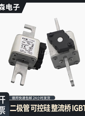 快速熔断器170M3142 170M3416 170M3810 170M4138型号齐全