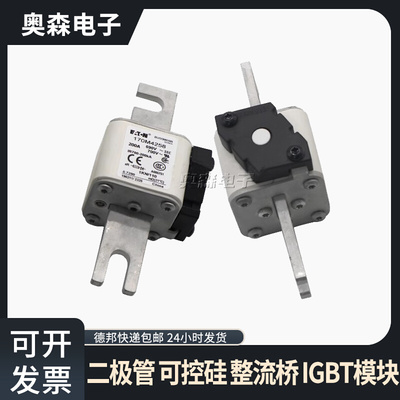 快速熔断器170M3142 170M3416 170M3810 170M4138型号齐全