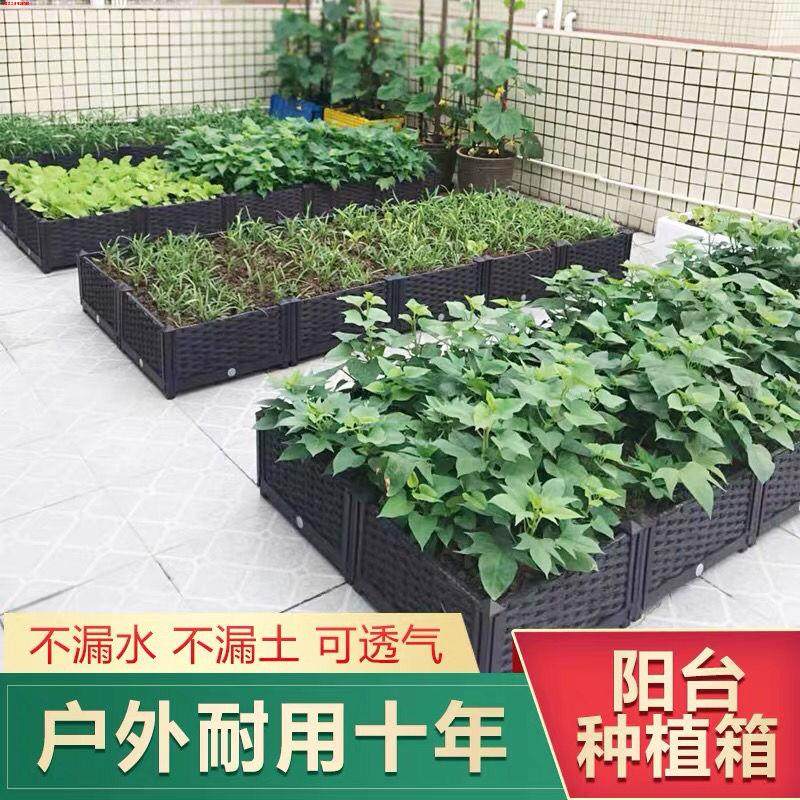 花箱种植箱户外种菜专用菜盆阳台种花楼顶菜园蔬菜加深塑料大花槽,ZIPPO/瑞士军刀/眼镜,酒具,淘宝优惠券,粉丝福利购,淘宝优惠卷