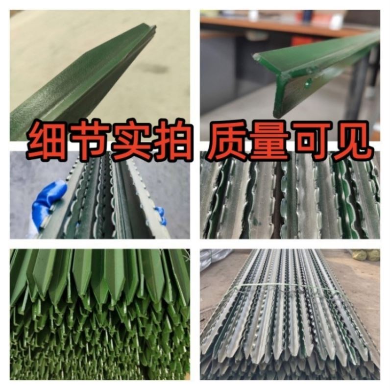 围栏立柱杆花园网防锈铁图片