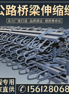 公路桥梁伸缩缝GQF-C40D60E80型模数伸缩缝毛勒缝子胶条橡胶支座