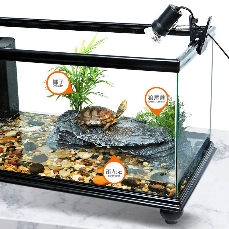 大型底部排水乌龟缸带晒台玻璃龟鱼缸生态饲养缸宠物龟箱,工业油品/胶粘/化学/实验室用品,烧杯/烧瓶,淘宝优惠券,粉丝福利购,淘宝优惠卷