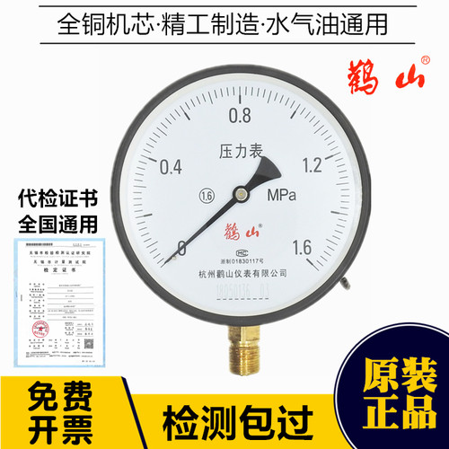 鹳山普通压力表气水锅炉