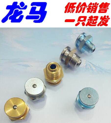 304不锈钢 DIN3404 AG1/4-16 R1/4 德标平扣式油嘴 扁平口注油咀