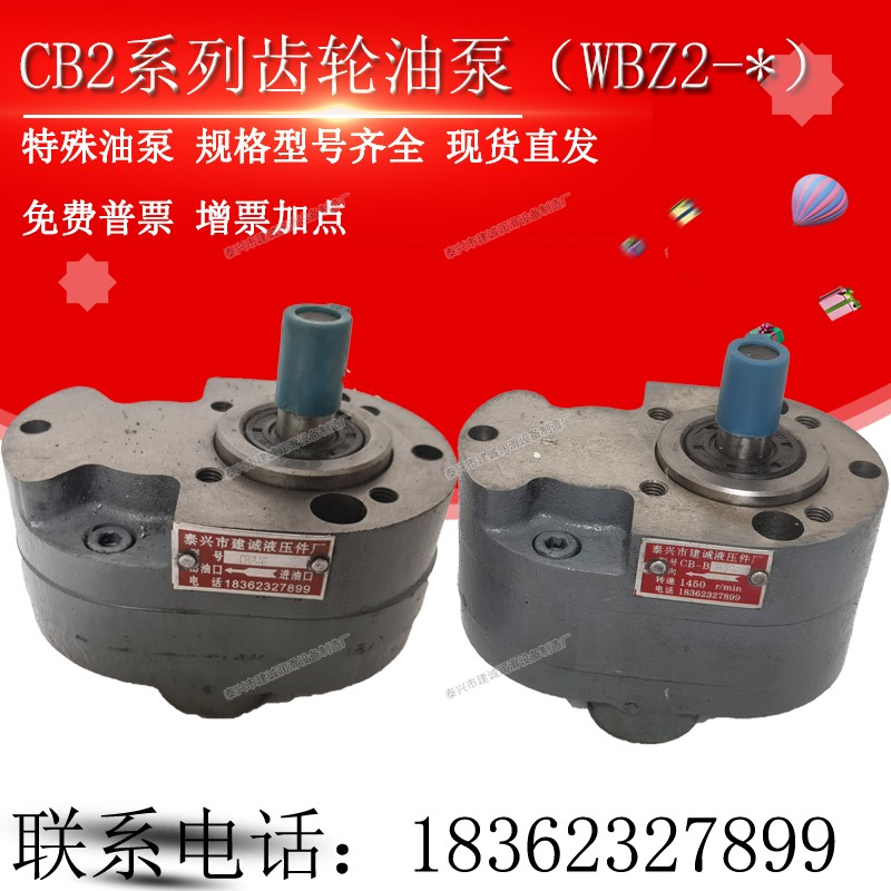CB2-16/B25液压齿轮油泵CB2-63/CB2-125/B40润滑泵WBZ2-100/80/32