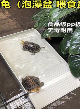 陆龟泡澡盆塑料乌洗黄缘
