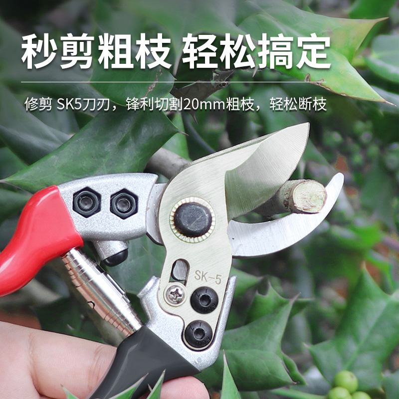 修枝剪刀园林花艺修剪树枝剪刀果树剪刀粗大花剪园艺剪子专用工具