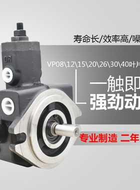 台湾型液压变量叶片油泵VP08-12-15-20-30-40系列低噪音单双联款q
