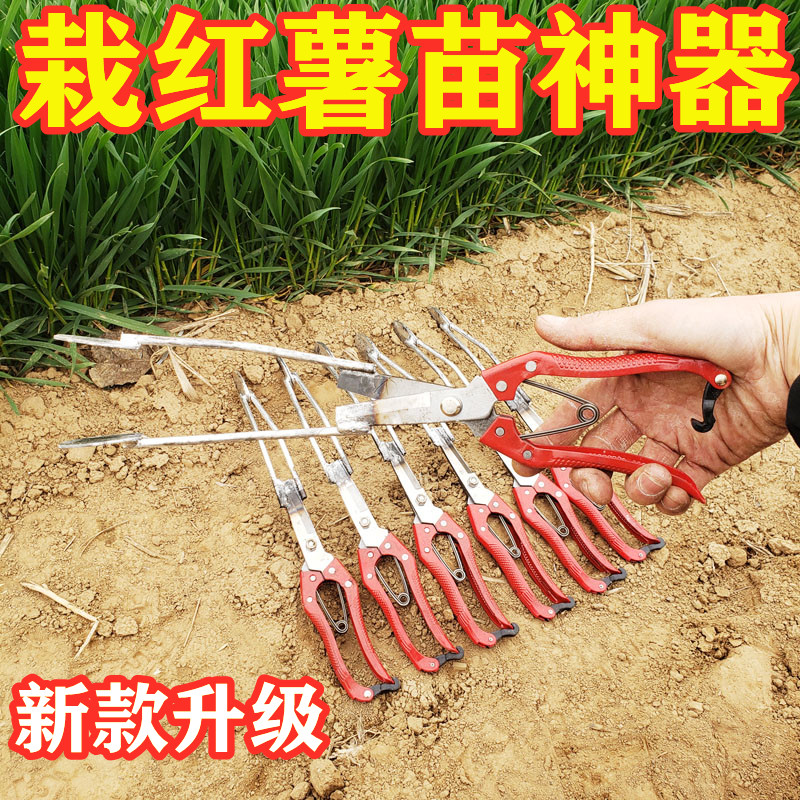 栽红薯苗神器插秧种地瓜