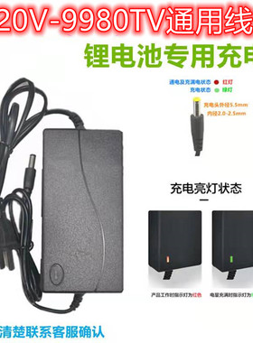 通用洗车机锂电池24VF48VF88VF168VF198VF498VF9980VF智能充电器