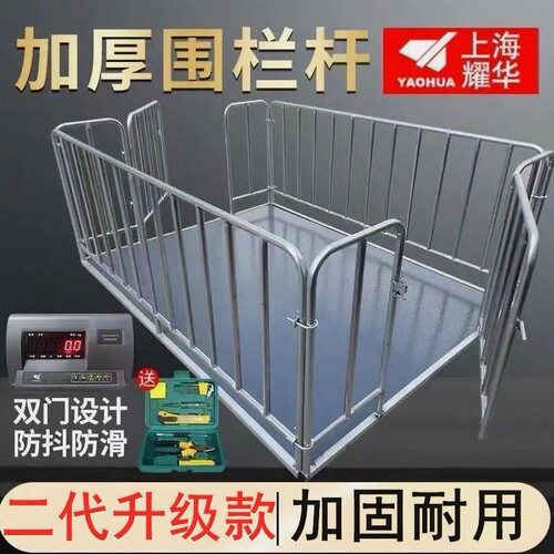 德国进口上海耀华电子地