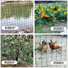 Створка оконная 防锈小孔铁丝网围栏防护网防鼠养殖拦鸡鸭鸽子网钢丝网格网护栏网