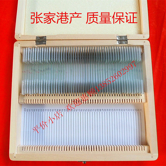 浪花牌切片水螅过精巢横