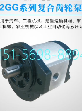 2GG2P16R液压泵HAHYDROMXCJ 高压齿轮泵2GG1P06R压力泵2GG1P24R