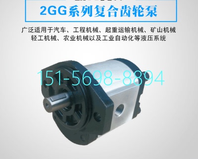 2GG2P16R液压泵HAHYDROMXCJ 高压齿轮泵2GG1P06R压力泵2GG1P24R