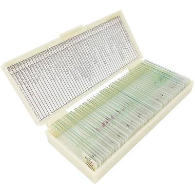 50 PCS Prepared Basic Science Microscope Slides Learning Res