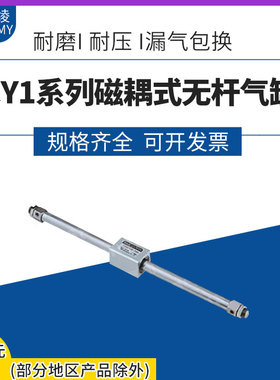 SNS神驰磁耦式无杆气缸CY1R20X1-100 CY3R101-200 201-300