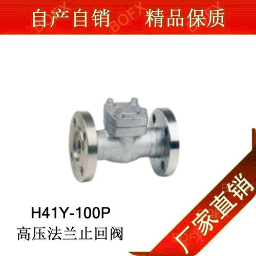 定制不锈钢高压止回阀法