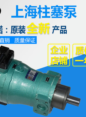 全新10PCY 25PCY 63PCY 80PCY 100PCY 160PCY 250PCY14-1B 轴包邮