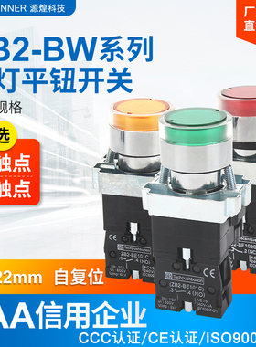 带灯平头按钮开关 XB2-BW31M1C AC220V ZB2-BE101C 一常开 一常闭