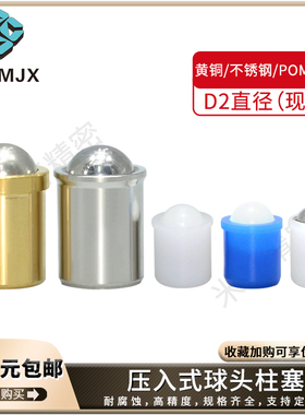PFPPN/PFSSN球头柱塞不锈钢GN614碰珠PFPBN压入BSZP定位波珠BSJT