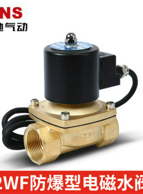 SNS神驰气动2WF025-08 040-10 160-15 200-20防爆二口二位电磁阀