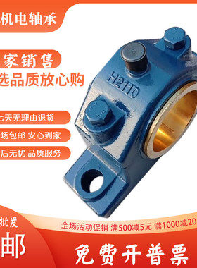 铸铁 滑动铜瓦 铜套轴承座H4110 4120 4140 4160 4180 4200 4220