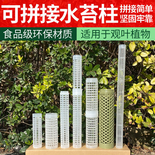 水苔柱可拼接爬藤植物攀附柱热植蔓绿绒绿萝龟背竹攀爬柱固定支架