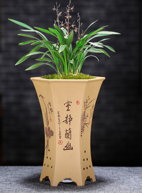 兰花盆精品紫砂盆兰花专用盆六方高花盆黄色名家手工中号桌面花盆